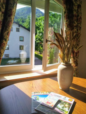 Apartment mit Bergblick kostenloser Parkplatz, WLAN, TV, Einbauküche